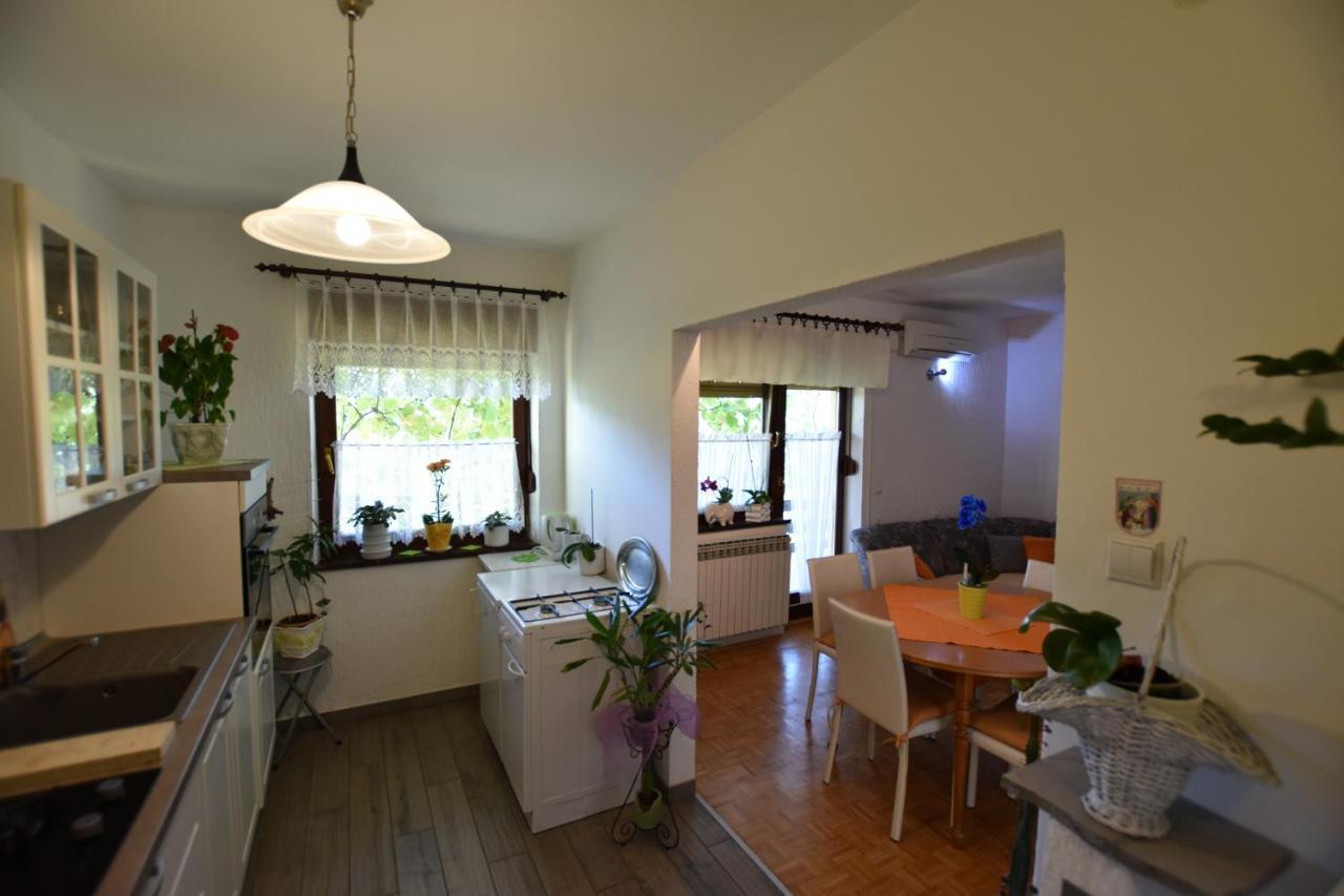 Apartments Frkovic Ledenice 외부 사진