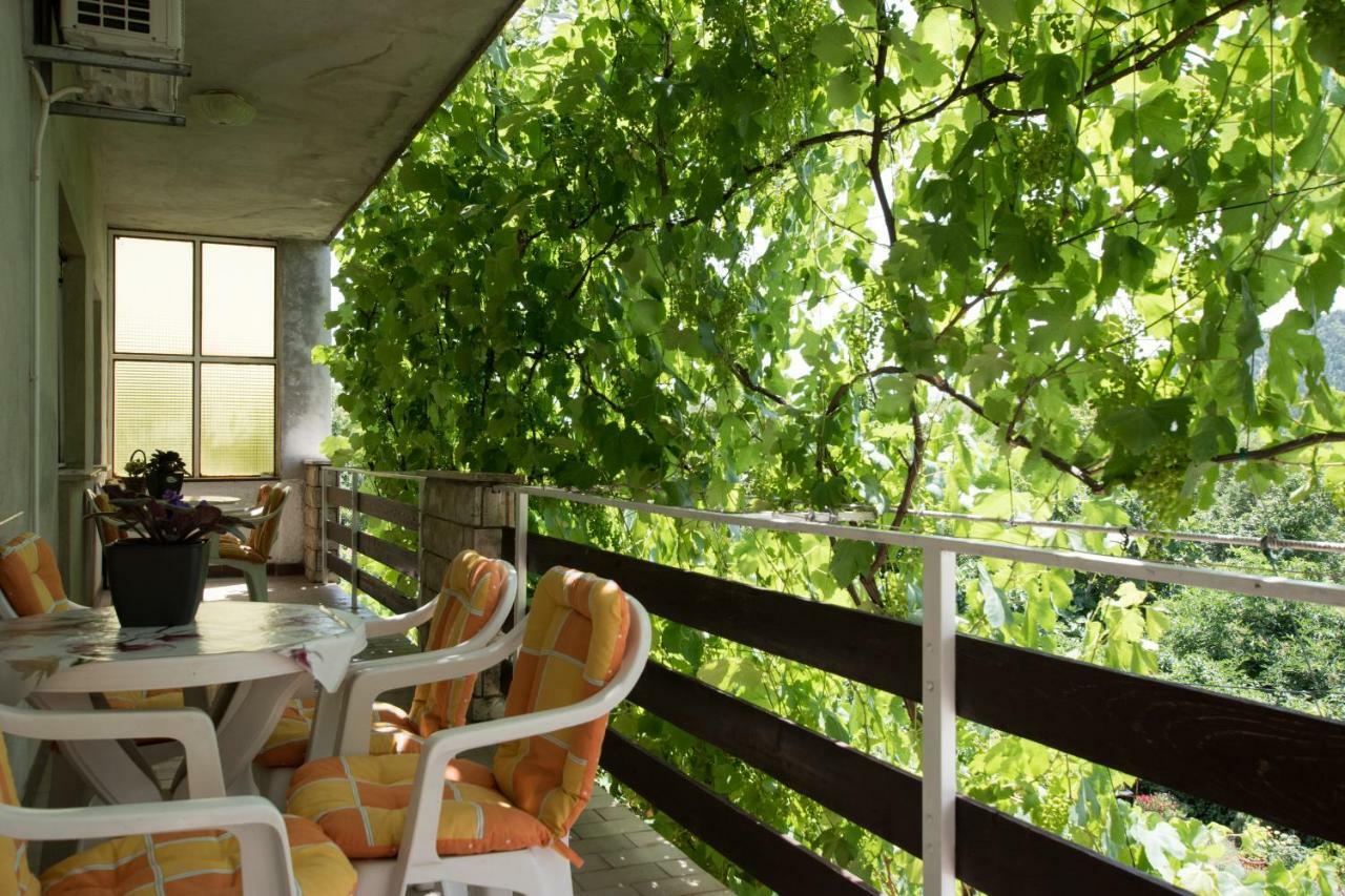 Apartments Frkovic Ledenice 외부 사진