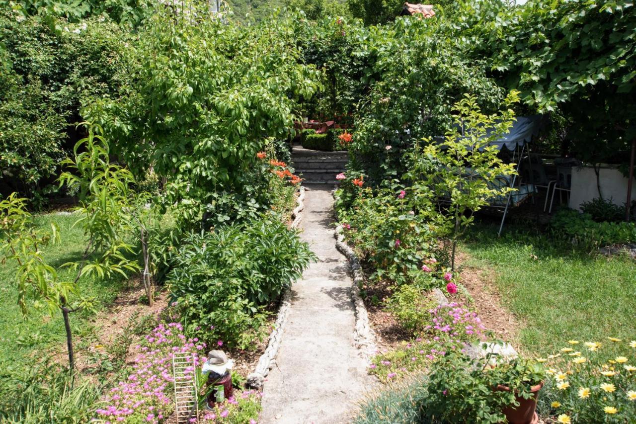 Apartments Frkovic Ledenice 외부 사진