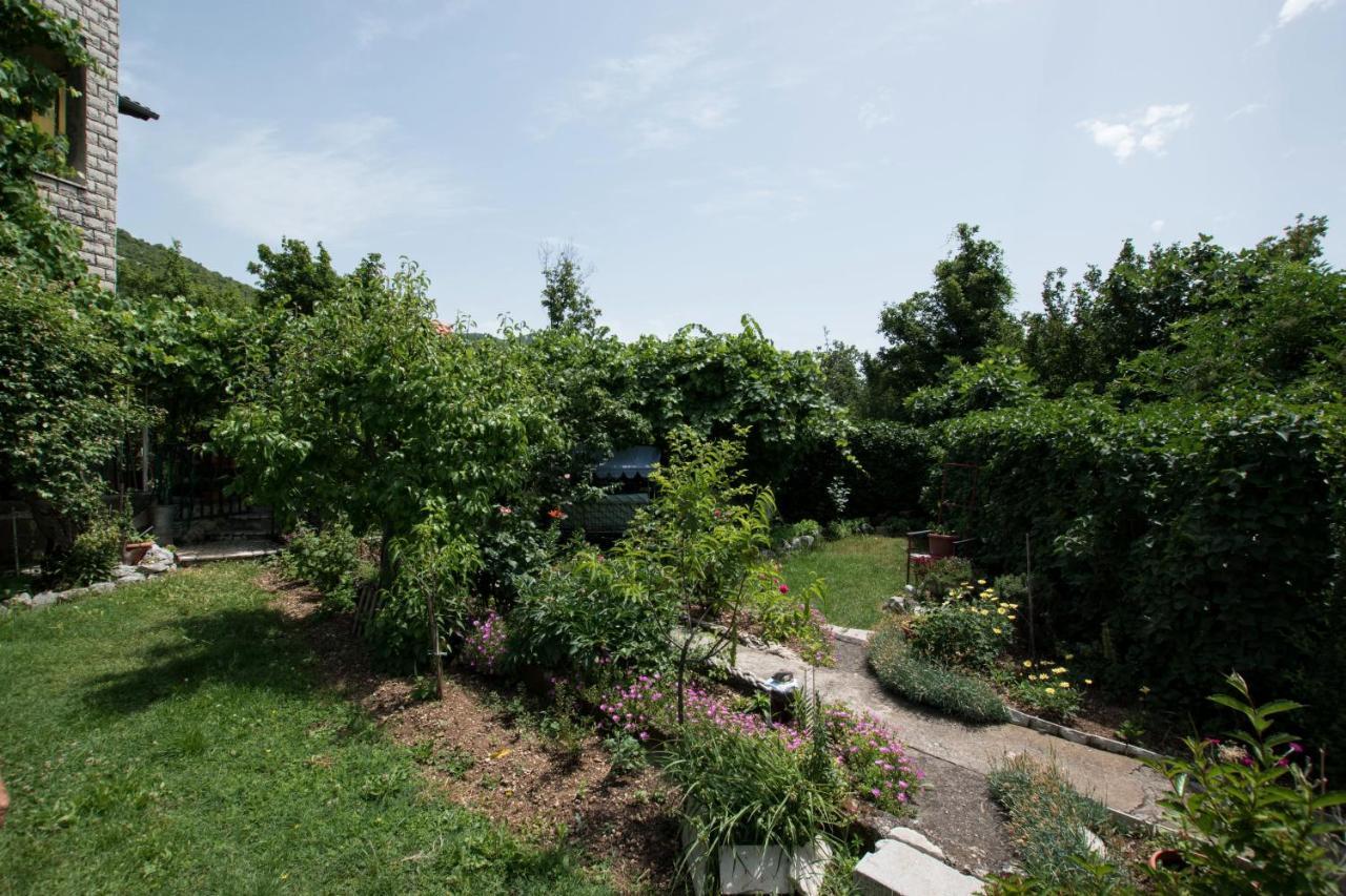 Apartments Frkovic Ledenice 외부 사진